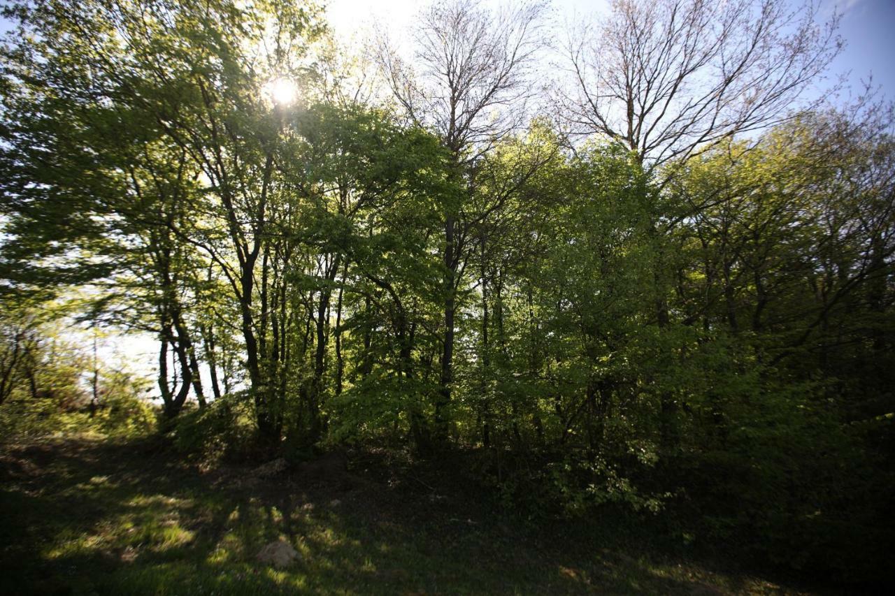 Varga Vendeghaz Sumegpraga Bagian luar foto